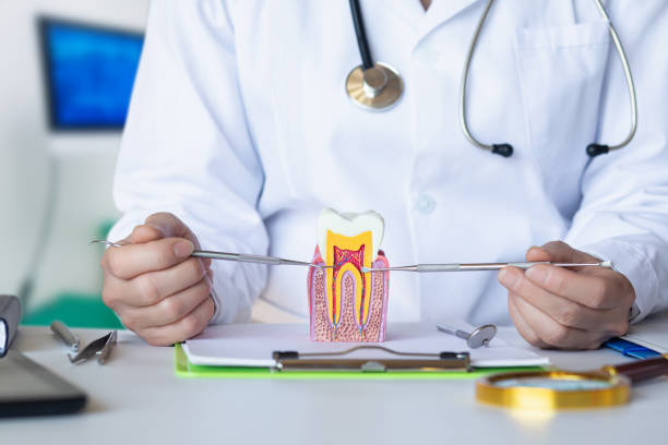 Best Knocked-Out Tooth Emergency  in Baton Rouge, LA